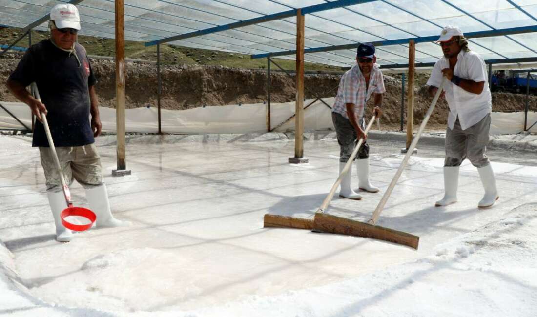 Erzincan'ın Kemah ilçesindeki tesislerde