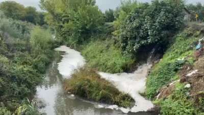 Gemlik Körfezi’nde kirlilik endişeye yolaçıyor