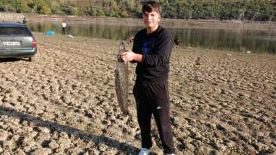 Bursa’nın İnegöl ilçesindeki Boğazköy Barajı’nda