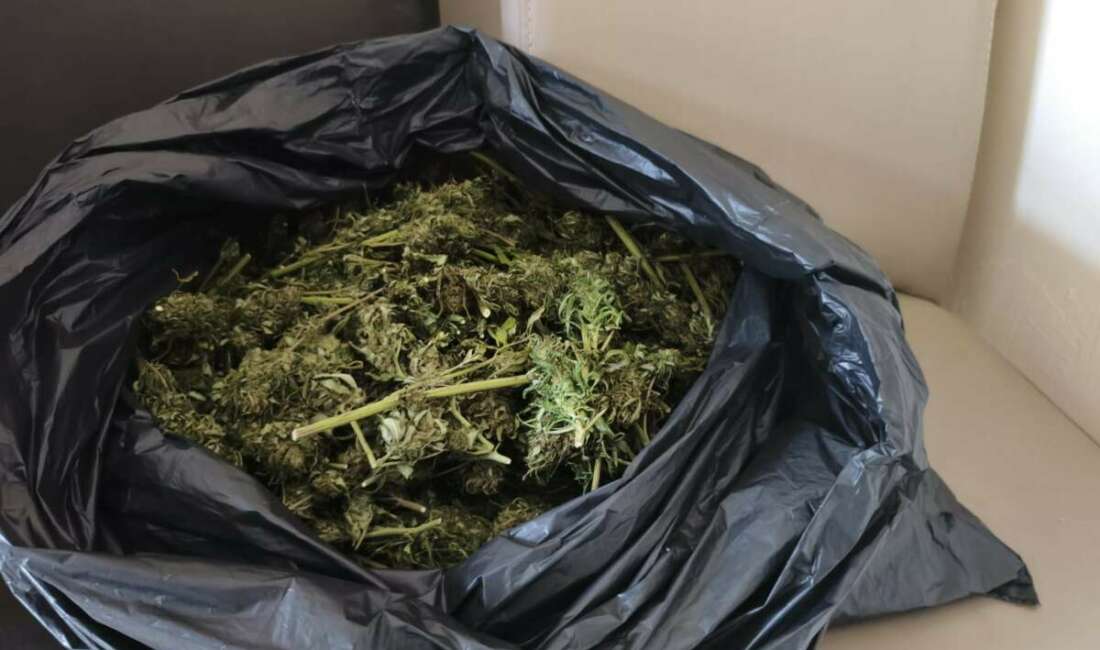 Güvercin kümesinde uyuşturucu ele geçirildi Bursa'nın İnegöl ilçesinde Jandarma