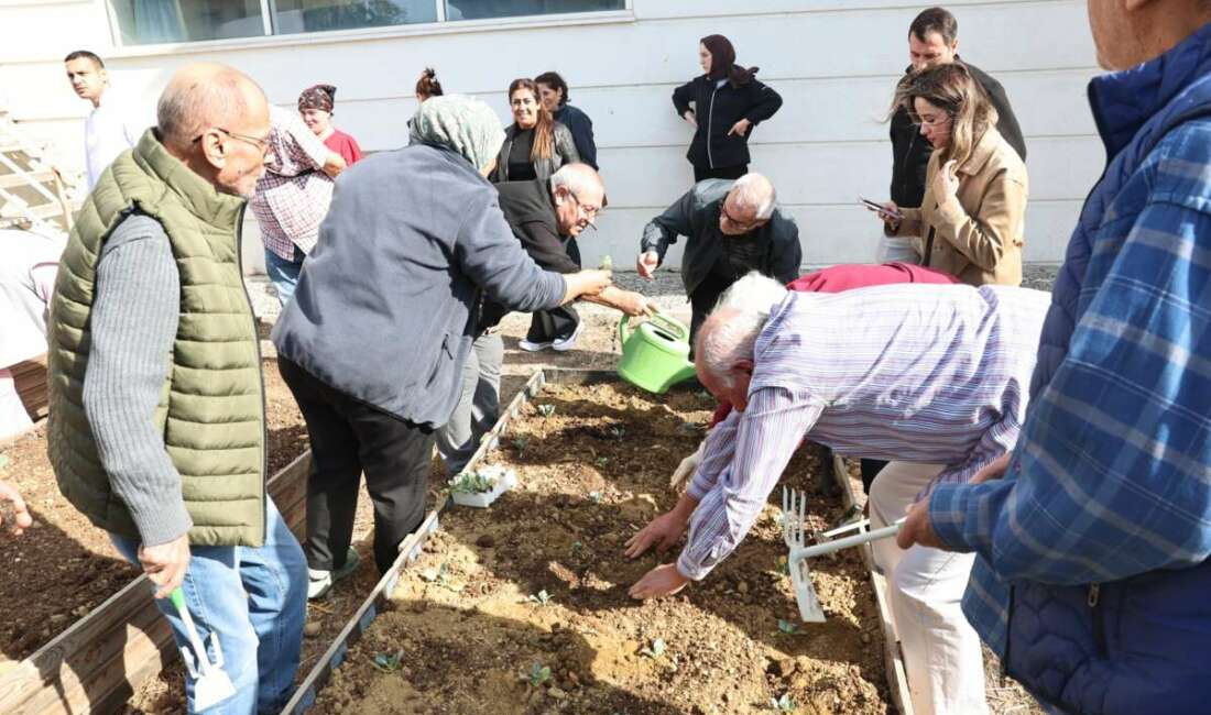 Nilüfer Belediyesi, Dünya Yaşlılar
