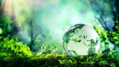 Büyükşehir Belediyesi ve Bursa Kent