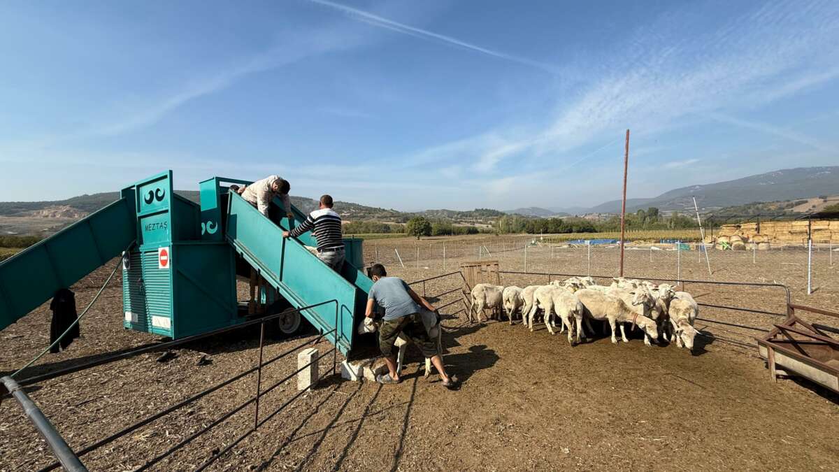 İnegöl Belediyesi’nden Tarım ve Hayvancılıkta güç birliği