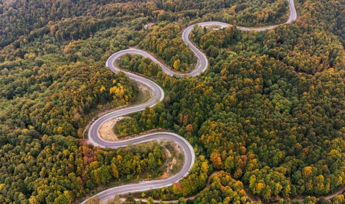 Sonbaharla birlikte İnegöl’de yeşil,