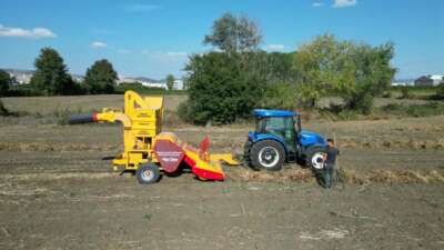 İnegöl’ün Cerrah Kuru Fasulyesi’nde hasat zamanı