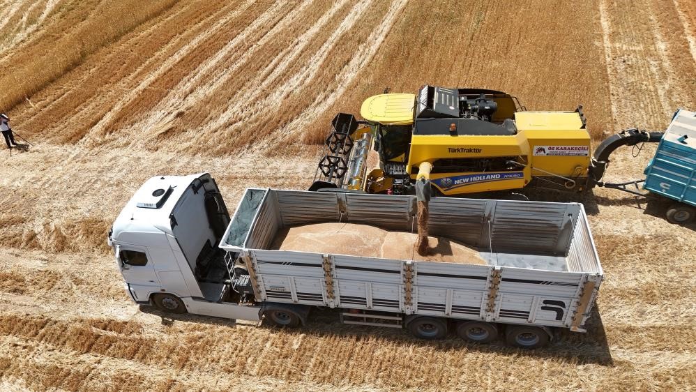  İthalat açıklaması bile arpanın ateşini düşürmedi