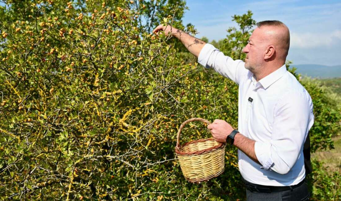 Karacabey Belediyesi, Yeşildere Mahallesi’nin