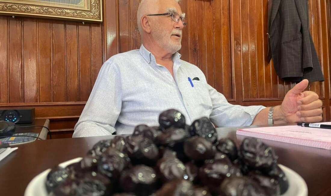 Katırlı Dağları’ndan İsviçre sofralarına Bursa'nın Gemlik ilçesinde faaliyet