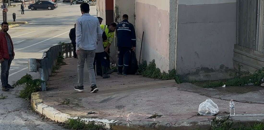 Kocaeli’de freni boşalan otobüs duvara çarptı: 3’ü polis 7 yaralı Kocaeli'nin İzmit ilçesinde cenaze