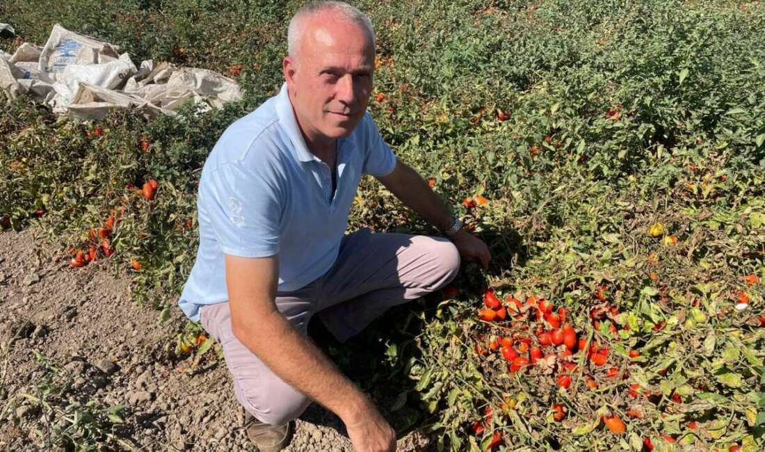 Bursa'nın Karacabey ilçesinden genç