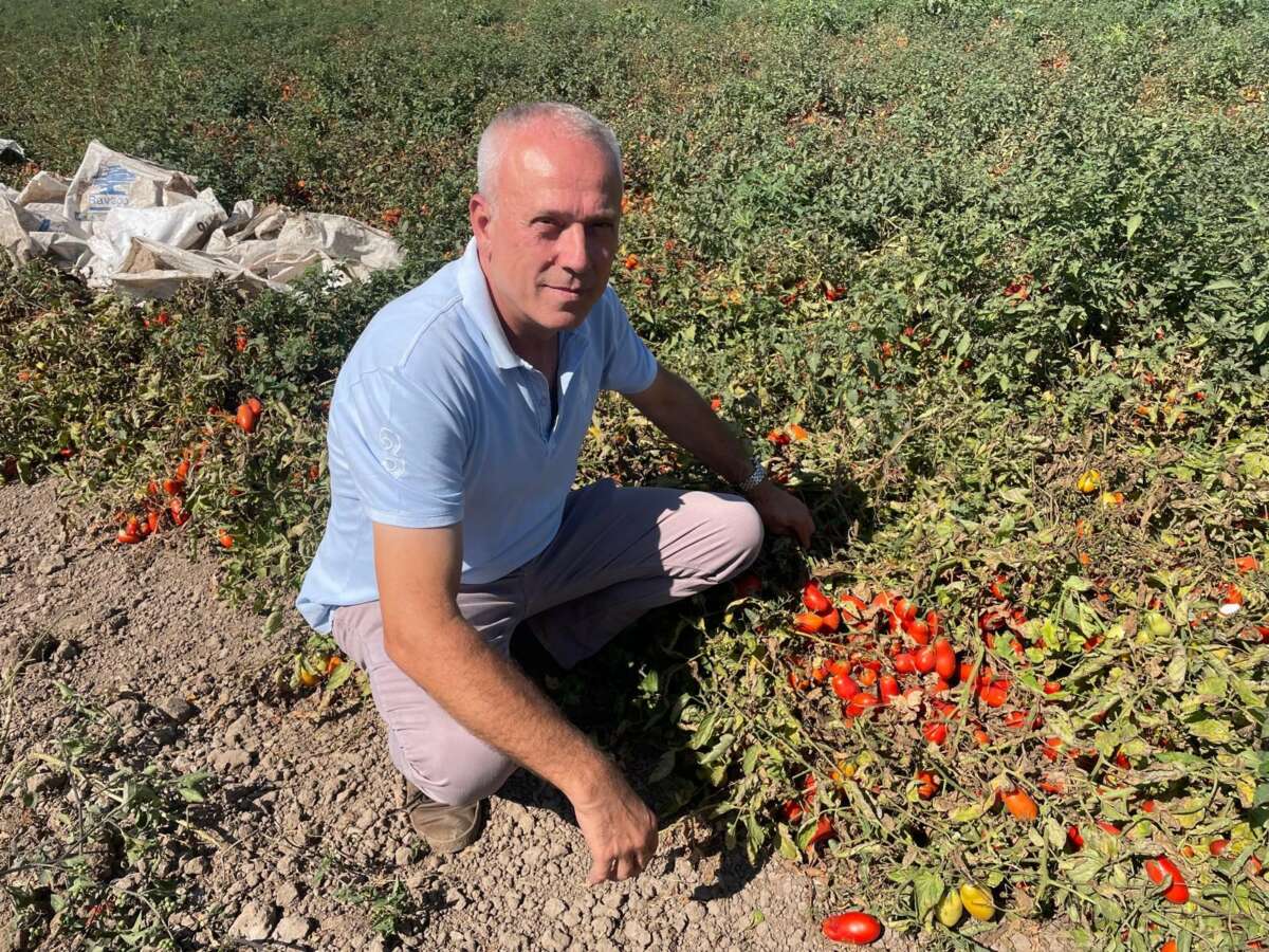 Londra’da kazandıklarıyla memleketine toprak yatırımı yaptı