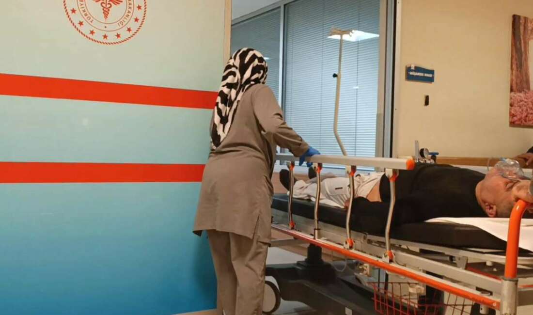 Mantar yedi hastanelik oldu Bursa'nın İnegöl ilçesinde yediği