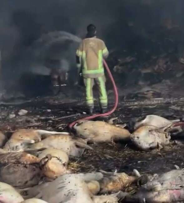 Bursa'nın Mudanya ilçesinde bir