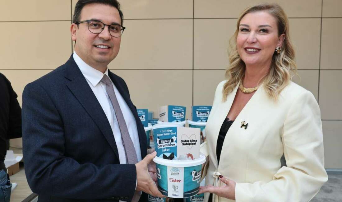 Nilüfer Belediyesi, Nilüfer Kent