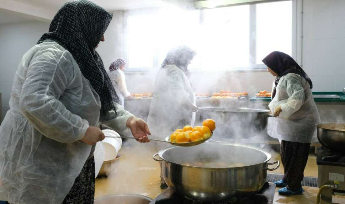 Nilüfer çiftçisi üretecek istanbul ve Eskişehir tüketecek Bursa'nın Nilüfer ilçesinde üretilen
