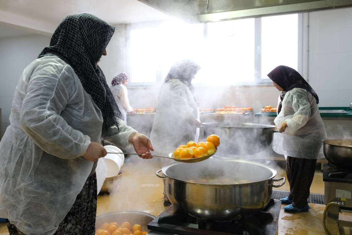 Nilüfer çiftçisi üretecek istanbul ve Eskişehir tüketecek