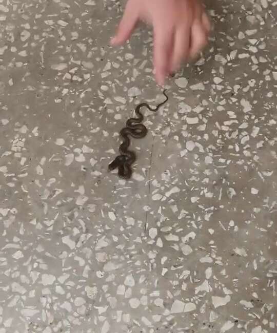 Bursa'nın Karacabey ilçesinde bir