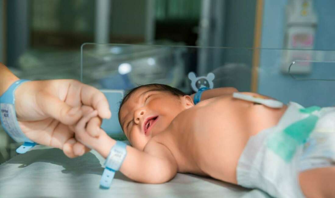 Hayat Hastanesi Göz Hastalıkları