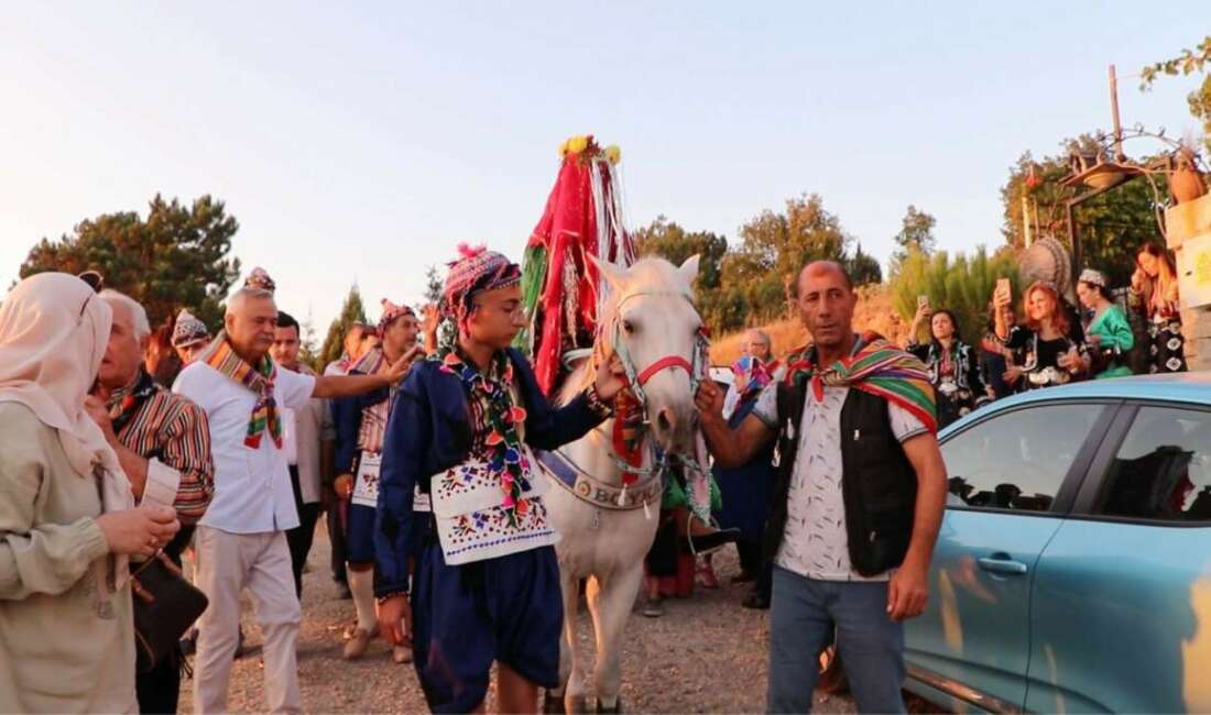 Profesörle doçent, Yörük kıyafetiyle köy düğünü yaptı Bursa Uludağ Üniversitesi öğretim üyelerinden