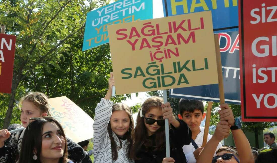 Nilüfer Belediyesi ve TMMOB