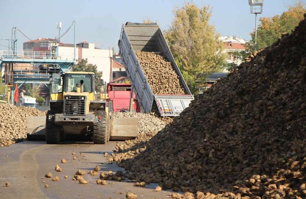 Tarım ve Orman Bakanlığı