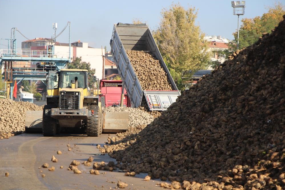 Tarım Bakanlığı: “Kuraklık nedeniyle şeker pancarı üretimini kısıtlamayacağız”
