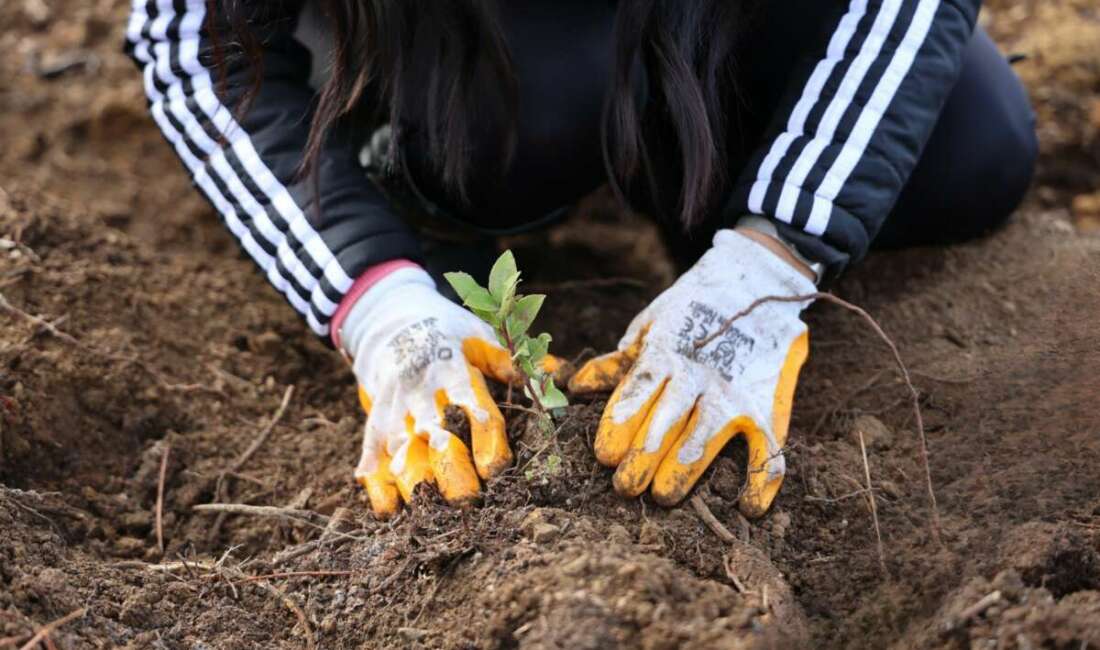 Enerji sektöründe dijitalleşme alanındaki