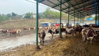 Marmara Bölgesi'nde ilk kez Bursa'nın Yenişehir