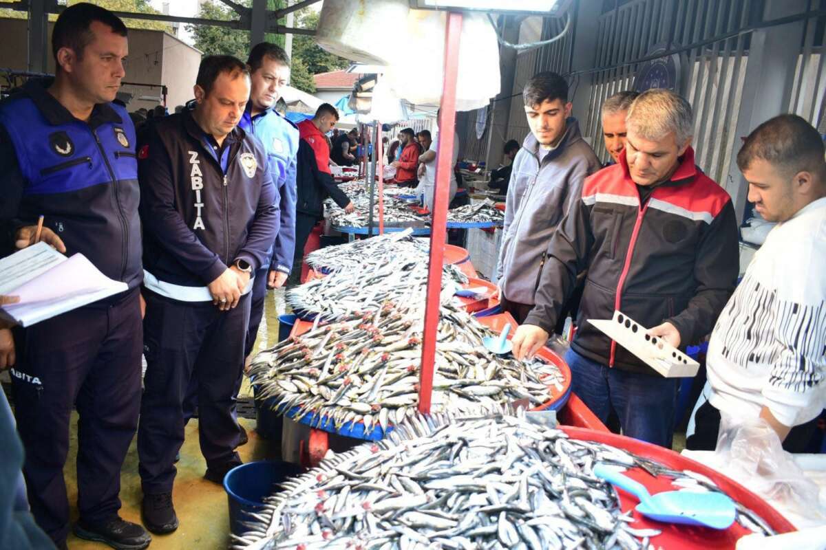 Yenişehir’de balık pazarı’na sıkı denetim