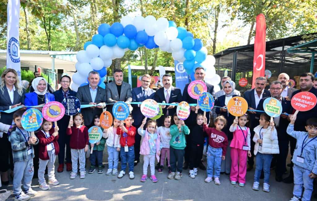 Yıldırım Belediyesi, sokak hayvanlarına
