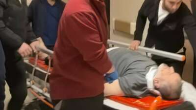 Bursa'nın İnegöl ilçesinde, kiraz ağacına