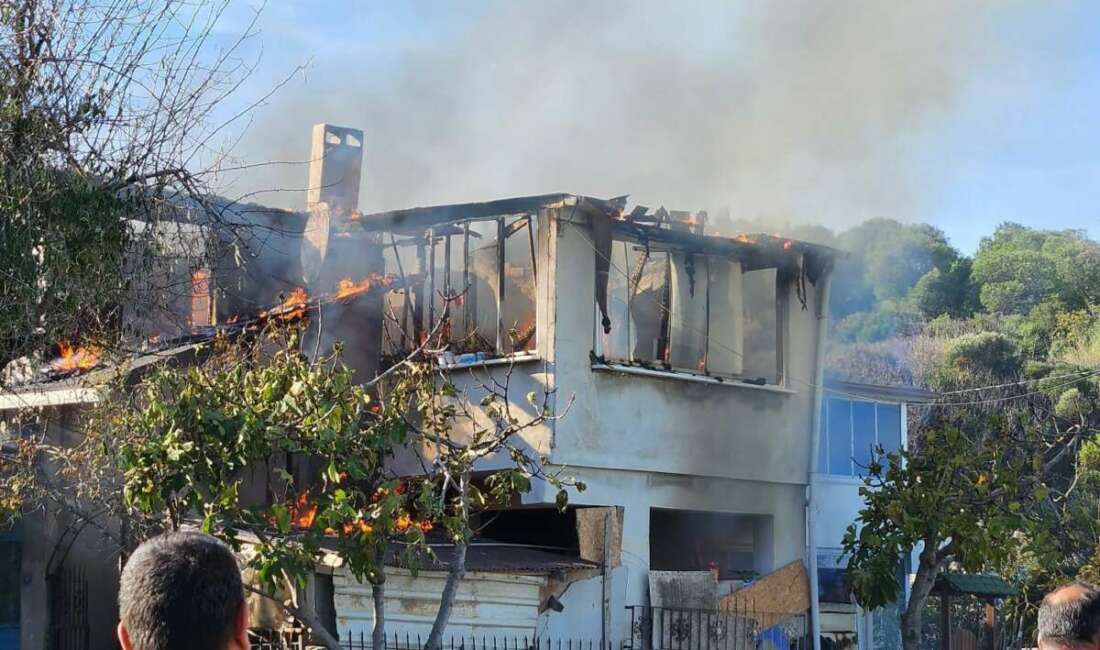 Bursa'nın Mudanya ilçesinde çıkan