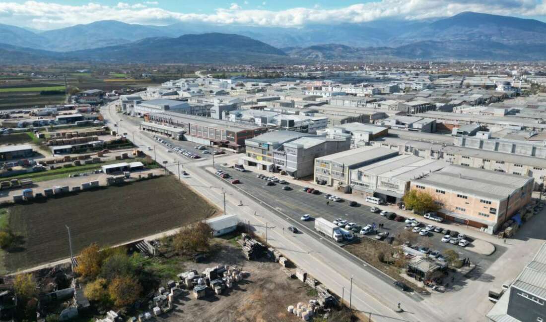 İnegöl Belediyesi Ağaç İşleri