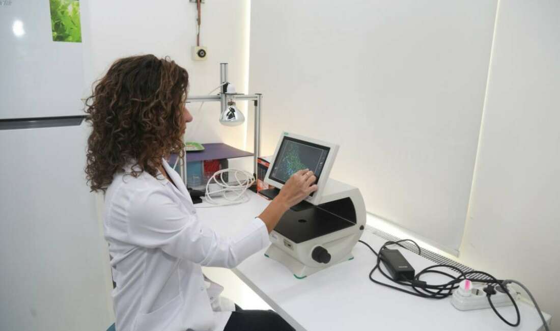 Bursa Teknik Üniversitesi bilim insanları,