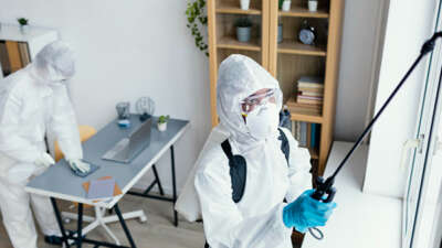 Her Evde Kullanılıyor: Böcek İlaçları Ne Kadar Tehlikeli?