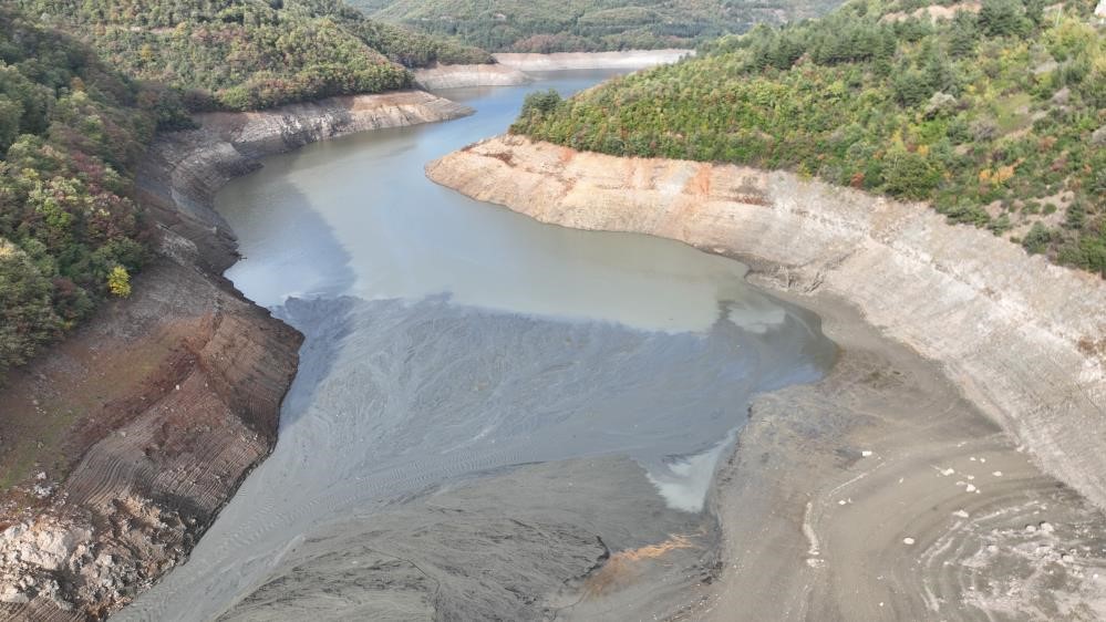 Toprak Mahsulleri Ofisi (TMO), ekim