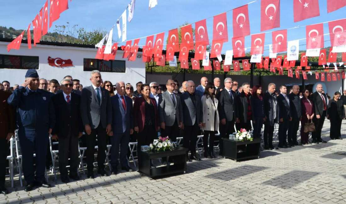 Bursa’nın Mudanya ilçesinde zeytin