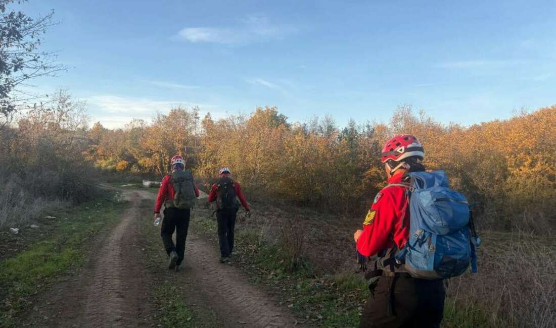 Bursa'da mantar toplamak için