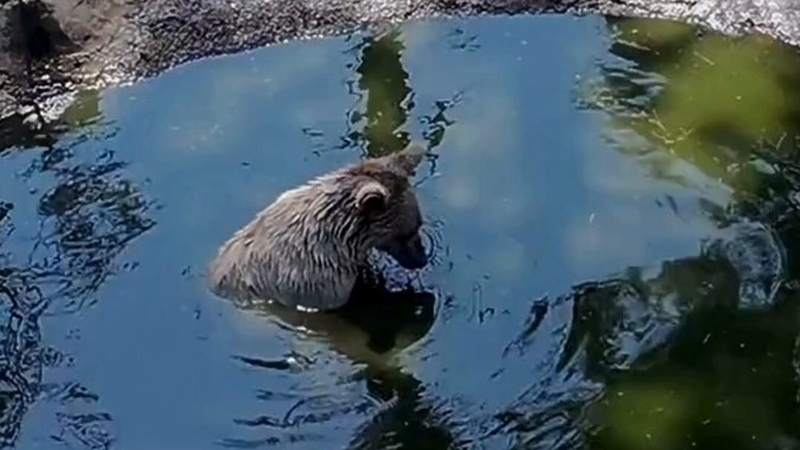 Bursa’daki koruma altında tutulan