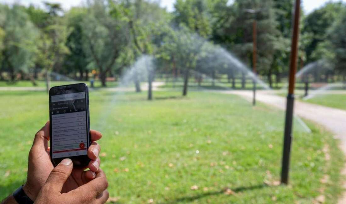 Bursa Büyükşehir Belediyesi, küresel