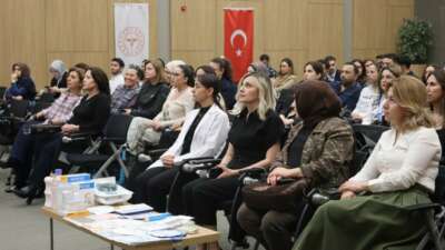 Bursa İl Sağlık Müdürlüğü, kamu hastanelerinde