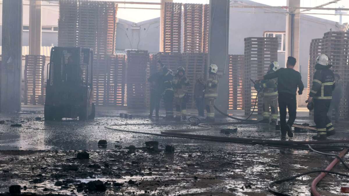 Bursa’da palet fabrikası alevlere teslim oldu