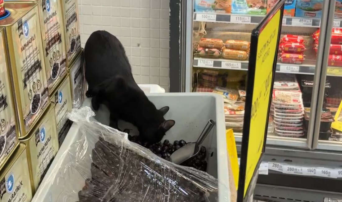 Bursa’daki Gross Marketlerden birinde