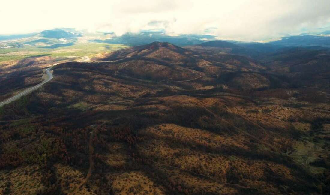 Bursa'da yaz ayında çıkan
