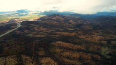 Bursa’yı yeşertecek 300 bin fidan