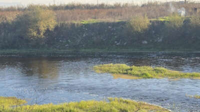 Bursa’da 5 çocuğun dere kenarında