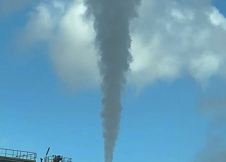 Gıda, yem ve endüstriyel