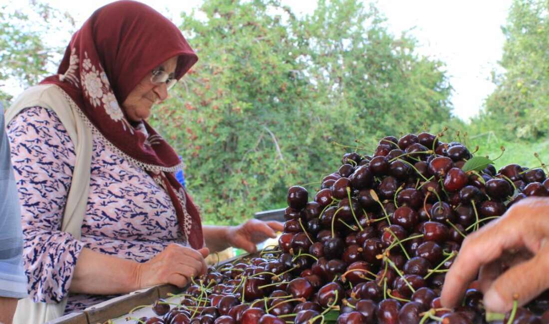 Dondurulmuş gıdada büyük bir
