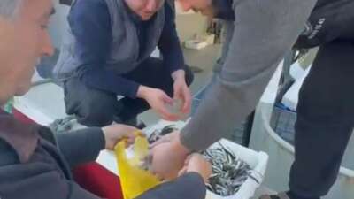 Esnafa inat, hamsiyi ücretsiz kilo kilo dağıttılar