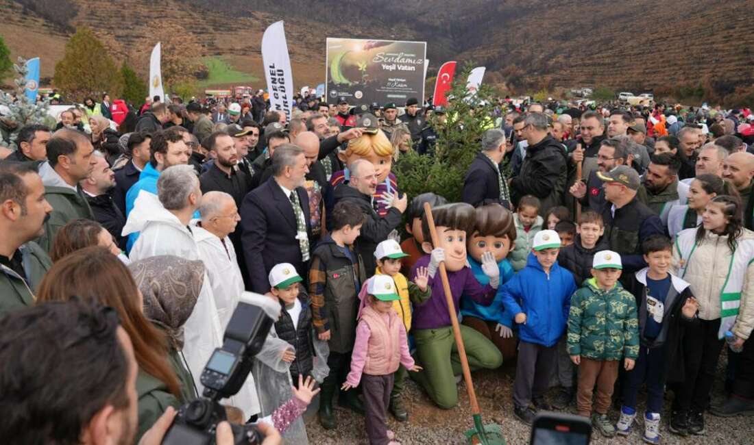 Gürsu tek yürek oldu, binlerce fidanla doldu Bursa'nın Gürsu ilçesinde temmuz